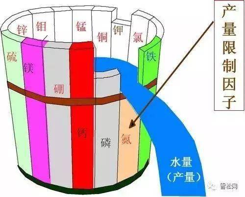 技术｜苗木肥料知识大全(图2)